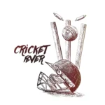 australia women's national cricket team vs india women's national cricket team match scorecard